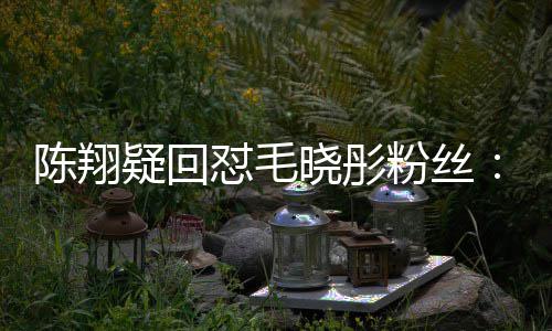 年去怼毛多吧挣点晓彤粉丝家过钱回陈翔疑回
